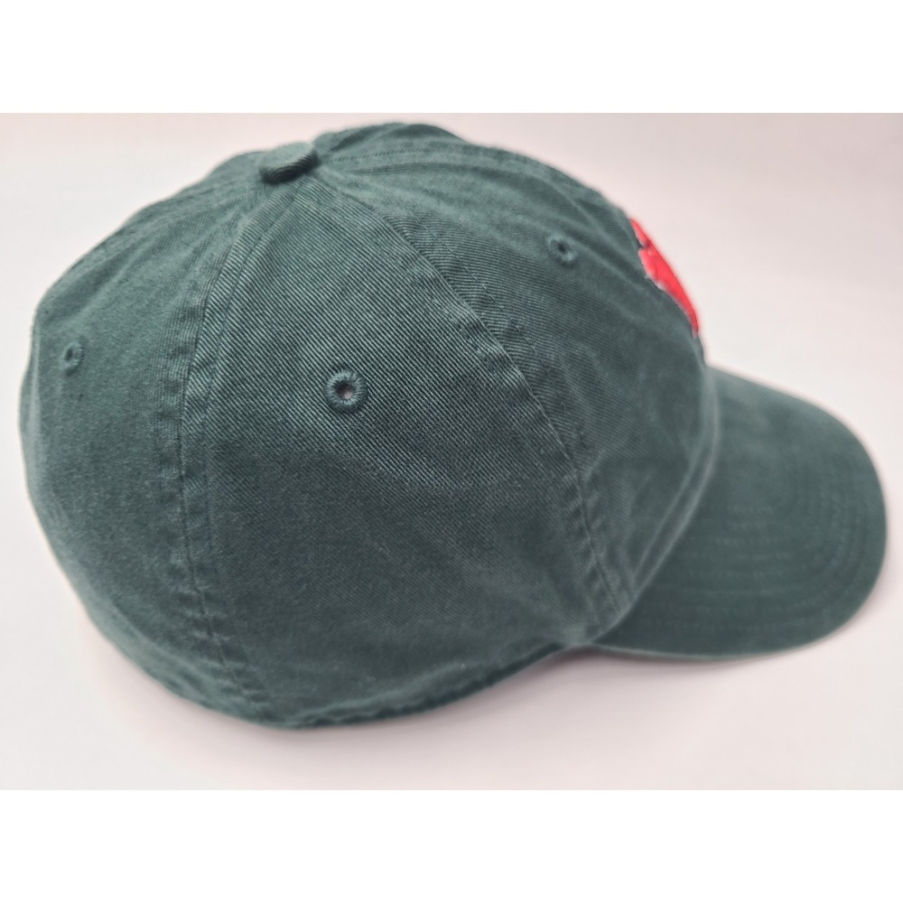 Washington University In St Louis Bears Twins Enterprise Franchise Fit M Hat Cap View 6